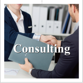 Consulting